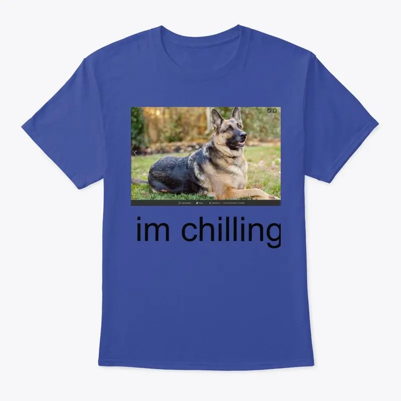 dog t